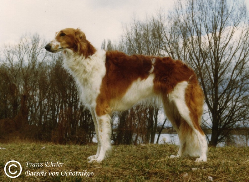 Borissa Von piroschka