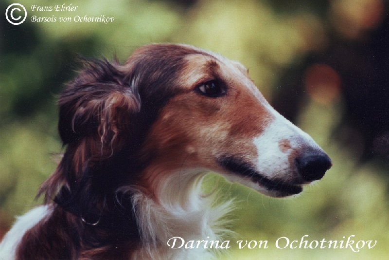 Darina von ochotnikov