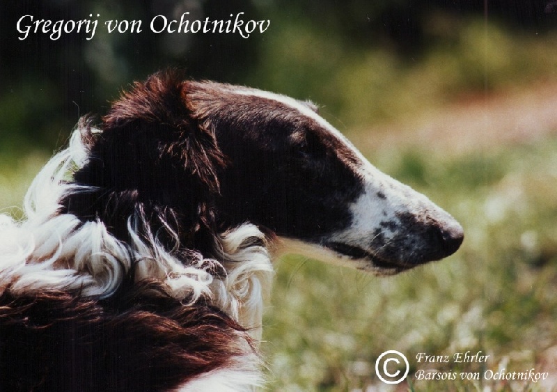 Gregorij von ochotnikov